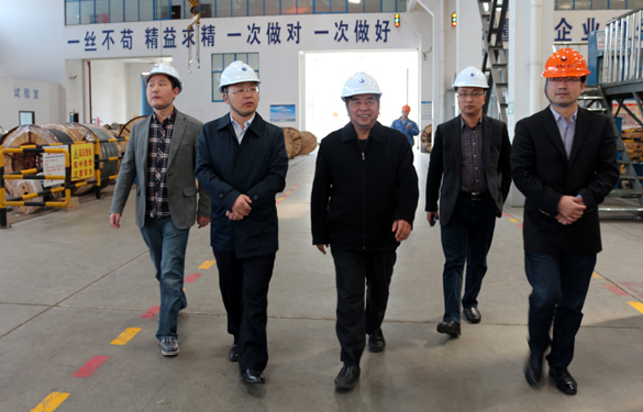 2015年3月26日，江蘇省射陽縣領導一行來上上電纜視察