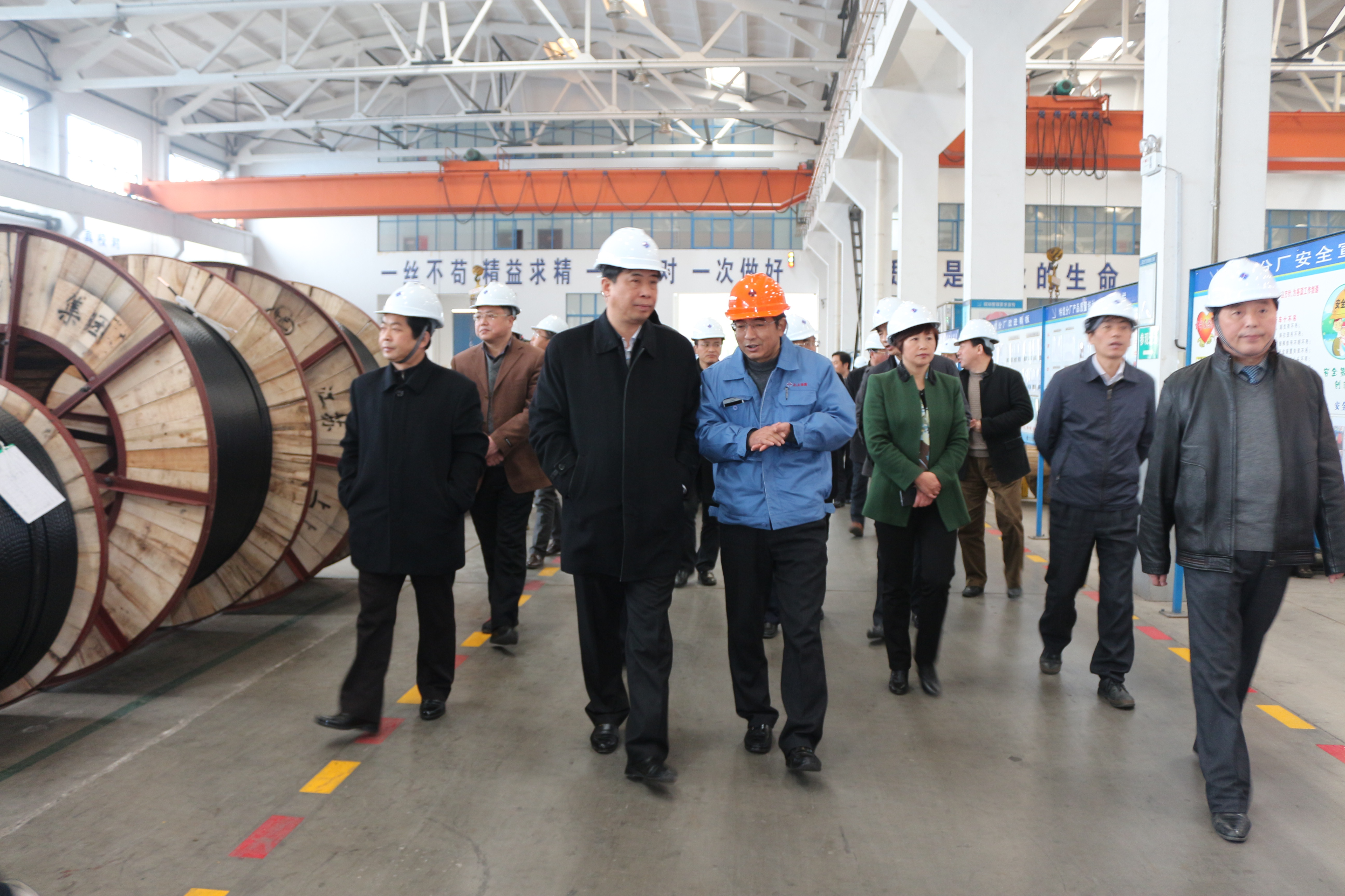 2015年3月11日，安徽省和縣黨政代表團一行來上上電纜考察