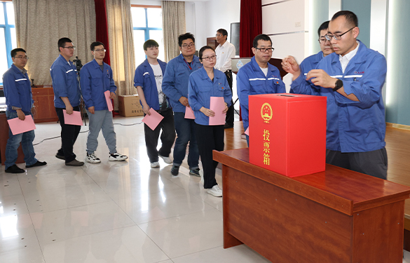 1745915898249478HO8Z.jpg 1745915898249478HO8Z.jpg