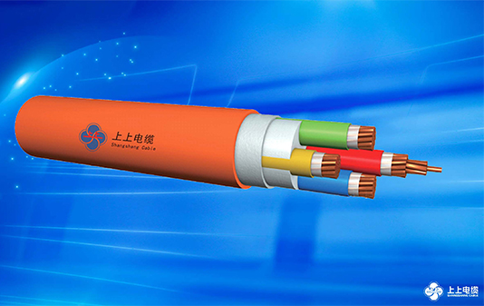 1751332464938597R55l.jpg 電纜.jpg